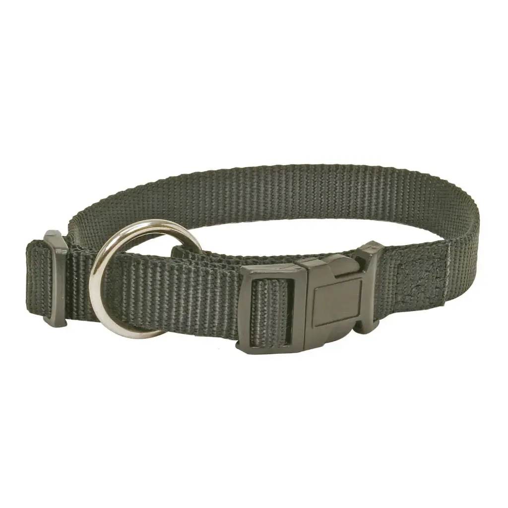 Collier confort orange pour chien MARTIN SELLIER