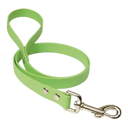 LAISSE BIOTHANE VERT µ 'Fin de série'