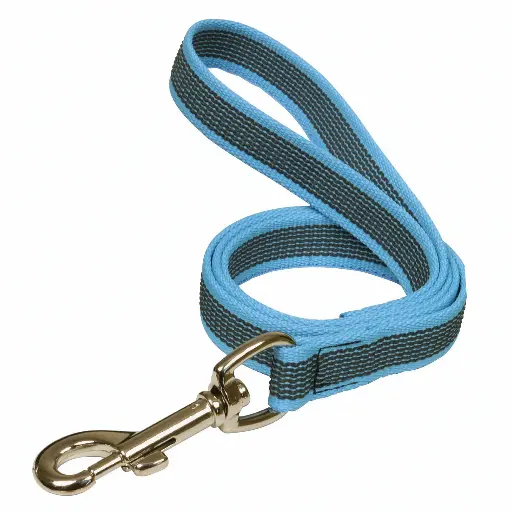 LAISSE COLOR GOMME BLEUE 