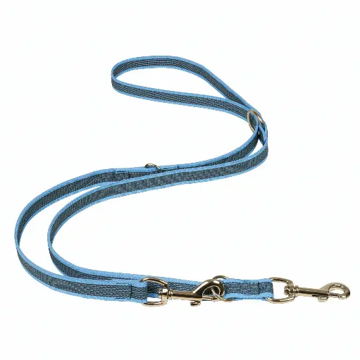 LAISSE GOMME MULTIPOSITIONS BLEUE