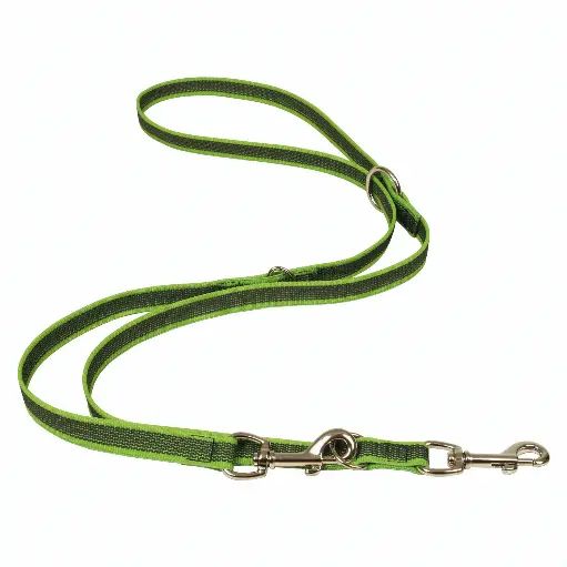 LAISSE GOMME MULTIPOSITIONS VERTE 