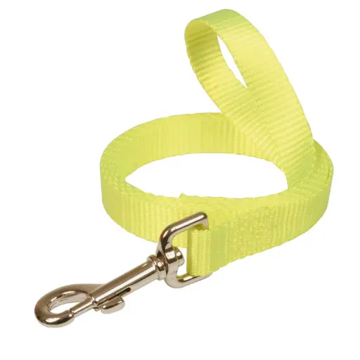 LAISSE FLUO JAUNE µ 'Fin de série'