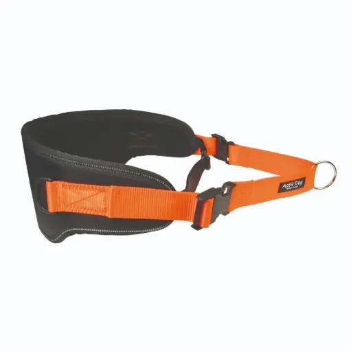 CEINTURE CANICROSS FLUO ORANGE µ