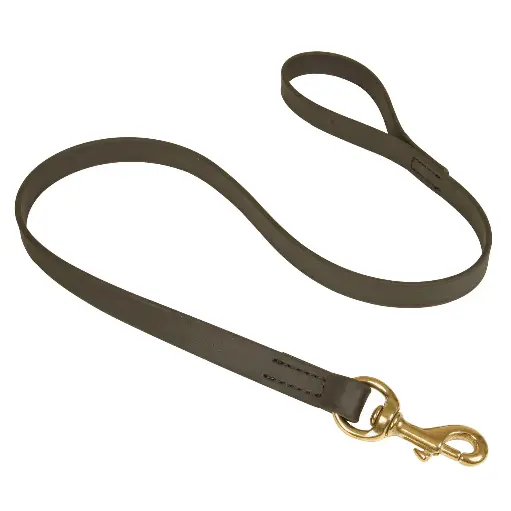 LAISSE BIOTHANE NOIRE