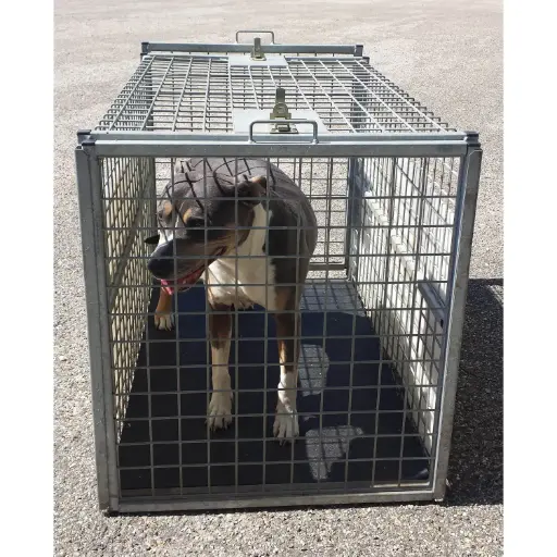 [900320] CAGE FOURRIERE