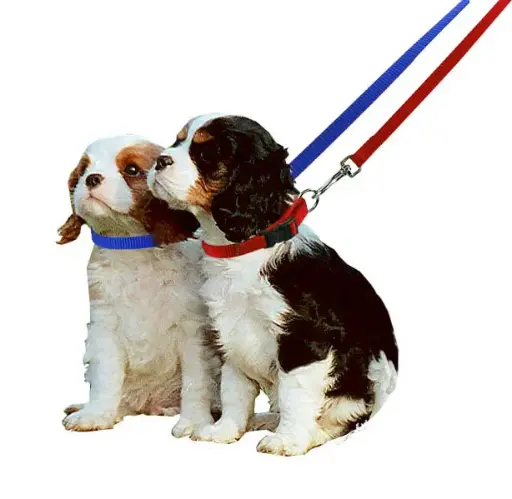 "OFFRE SPECIALE" - LOT DE 5 COLLIERS ET LAISSES POUR CHIOTS   µ